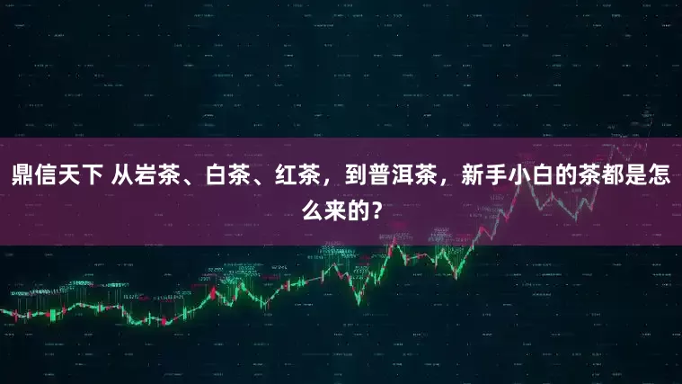 鼎信天下 从岩茶、白茶、红茶，到普洱茶，新手小白的茶都是怎么来的？