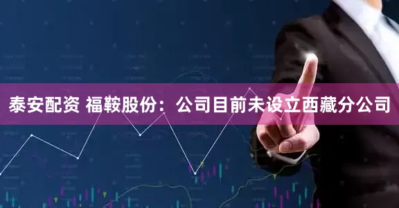 泰安配资 福鞍股份：公司目前未设立西藏分公司
