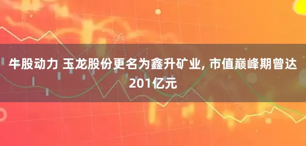 牛股动力 玉龙股份更名为鑫升矿业, 市值巅峰期曾达201亿元
