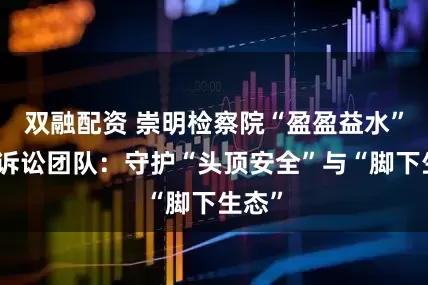 双融配资 崇明检察院“盈盈益水”公益诉讼团队：守护“头顶安全”与“脚下生态”